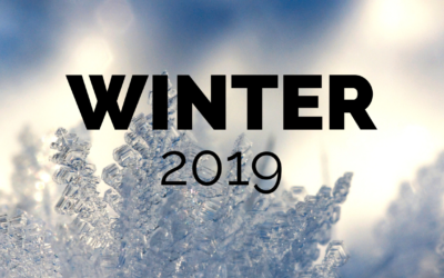Winter SGL Workshop Recap