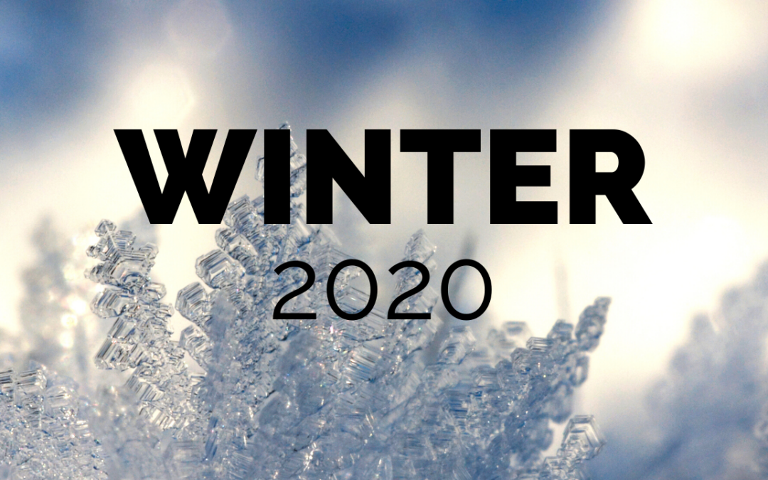 2020 Winter SGL Workshop Recap