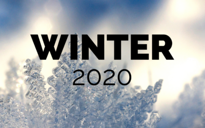 2020 Winter SGL Workshop Recap